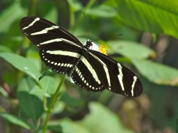 Florida_2007-2008-071